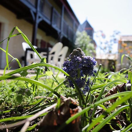 Vila Au Repos Des Elfes Braye-sous-Faye Exteriér fotografie
