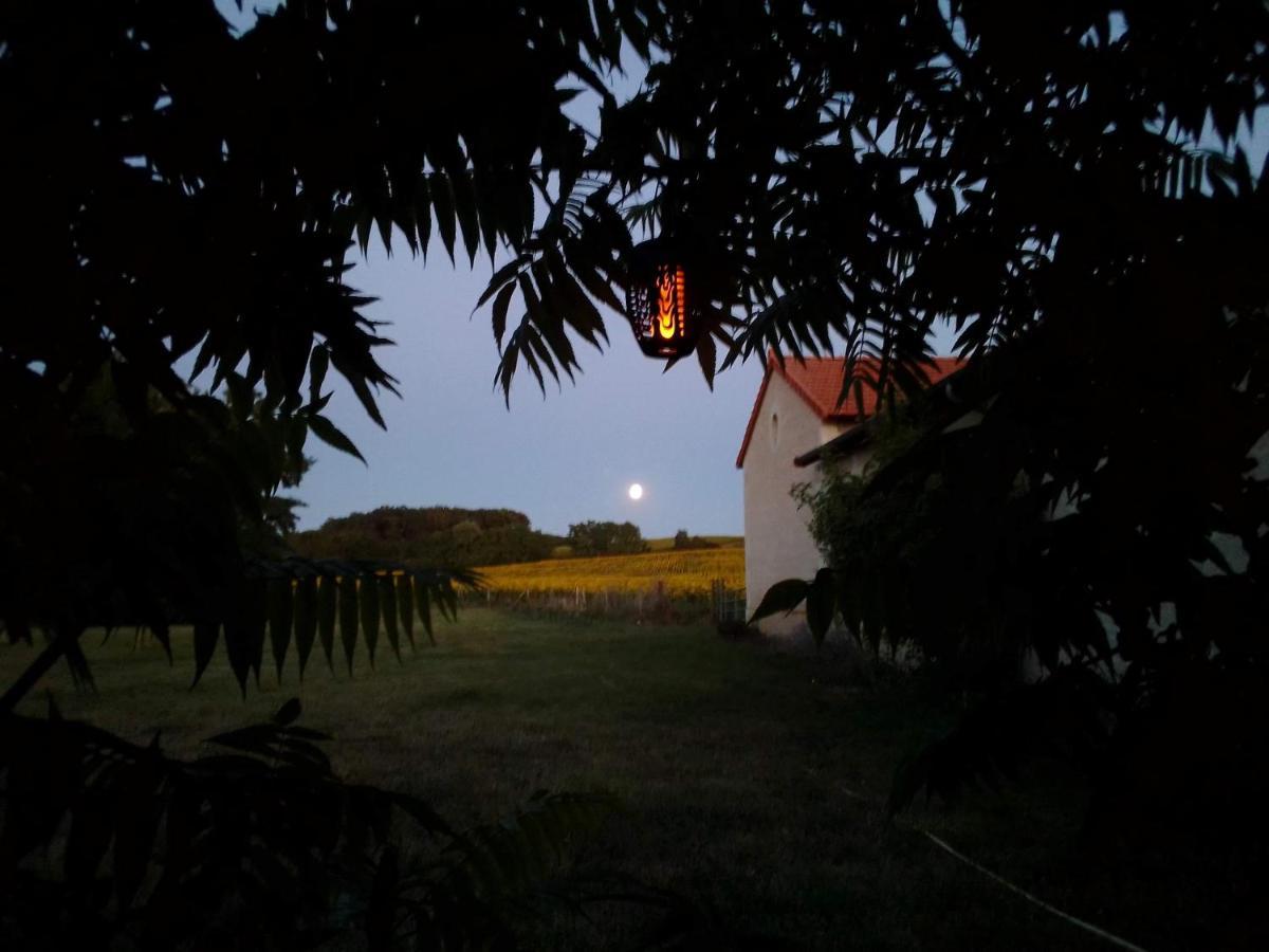Vila Au Repos Des Elfes Braye-sous-Faye Exteriér fotografie