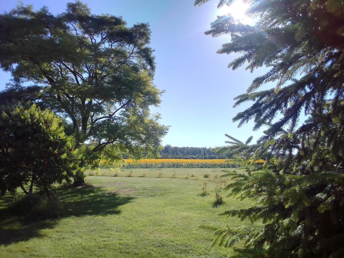 Vila Au Repos Des Elfes Braye-sous-Faye Exteriér fotografie