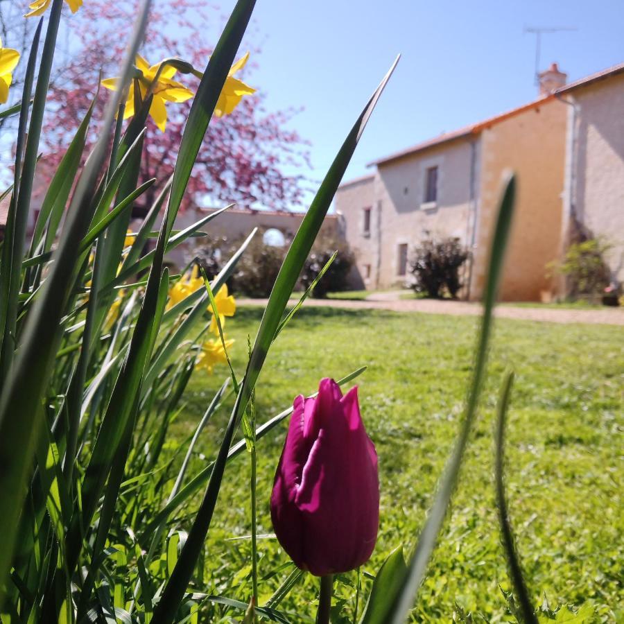 Vila Au Repos Des Elfes Braye-sous-Faye Exteriér fotografie