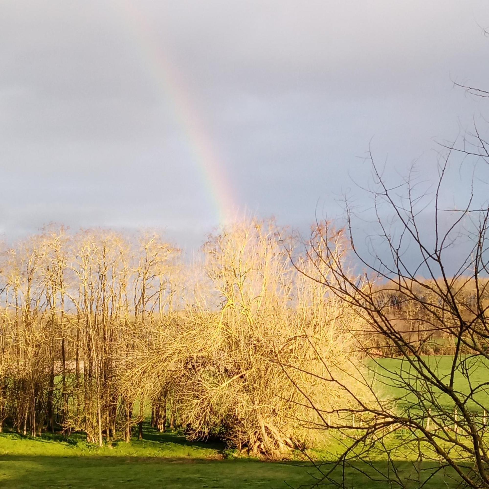 Vila Au Repos Des Elfes Braye-sous-Faye Exteriér fotografie