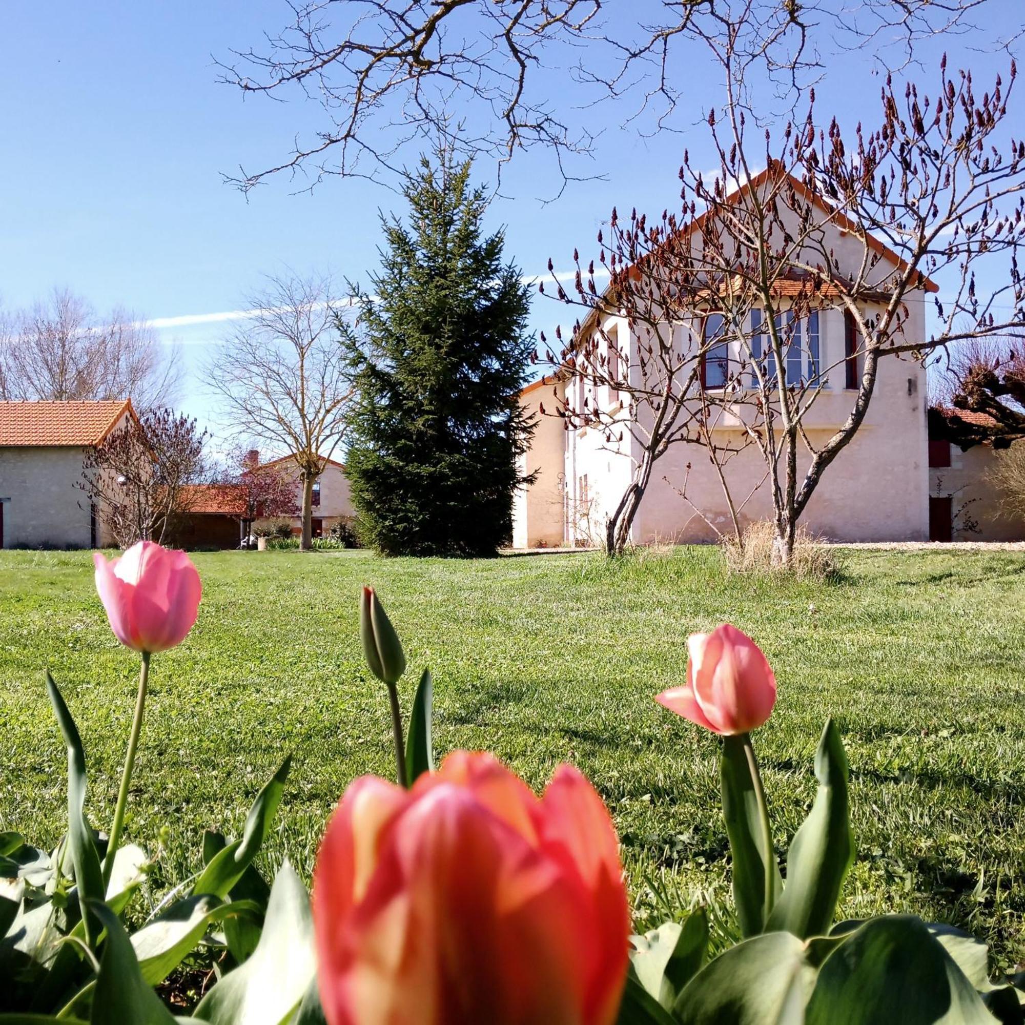 Vila Au Repos Des Elfes Braye-sous-Faye Exteriér fotografie