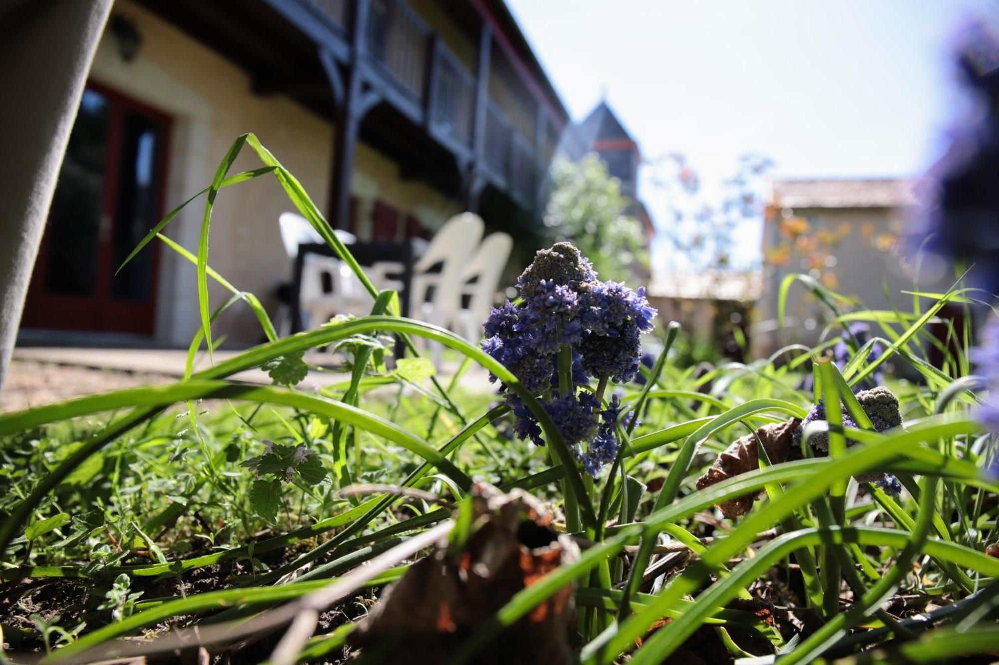 Vila Au Repos Des Elfes Braye-sous-Faye Exteriér fotografie